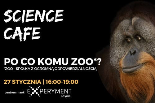 PO CO KOMU ZOO_ NA WWW kafel