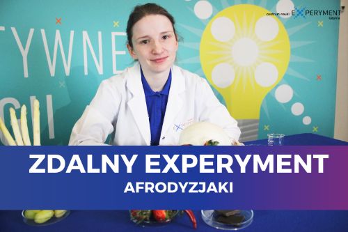 Zdalny experyment, afrodyzjaki. Przed edukatorką znajduje się stół z owocami ułożonymi na szalkach Petriego.