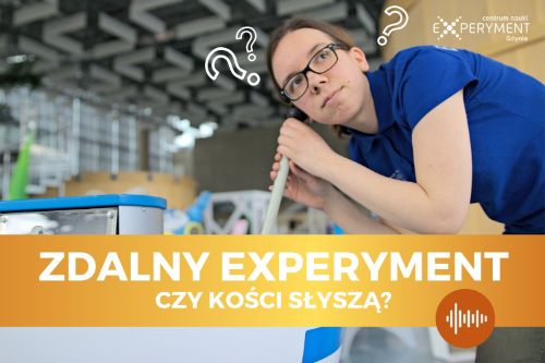 Zdalny experyment, czy kości słyszą? Edukatorka przykłada ucho do eksponatu przedstawiającego rozchodzenie się fal dźwiękowych.