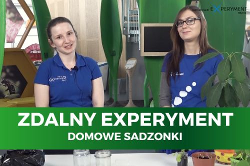 Zdalny experyment, domowe sadzonki. Dwie edukatorki stoją oko roślin doniczkowych.