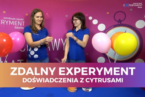Zdalny experyment, doświadczenia z cytrusami. Edukatorki stoją przed blatem, na którym znajdują się cytrusy oraz nadmuchane balony.