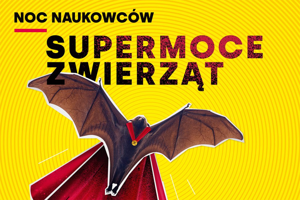 Noc Naukowców 2020. SUPERMOCE ZWIERZĄT Grafika przedstawiająca nietoperza w czerwonej pelerynie na żółtym tle i napis Noc Naukowców Supermoce Zwierząt