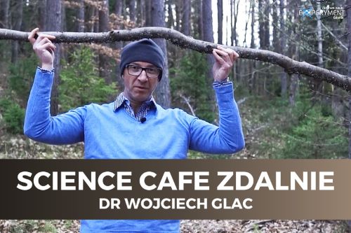 Science cafe zdalnie. W kadrze Dd Wojciech Glac stoi w lesie trzymając nad głową gałąź.