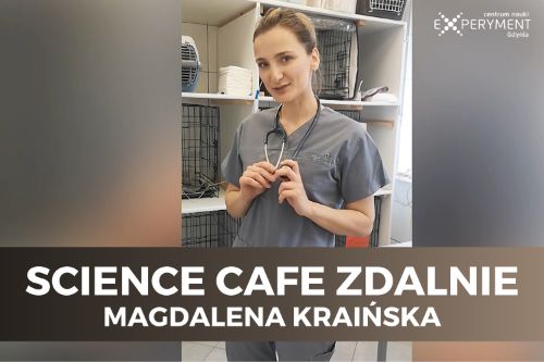 Science cafe zdalnie. W kadrze Magdalena Kraińska.