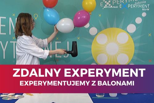 Zdalny experyment, experymentujemy z balonami. Edukatorka w jednej ręce trzyma suszarkę, w drugiej nadmuchane balony połączone w okręg.