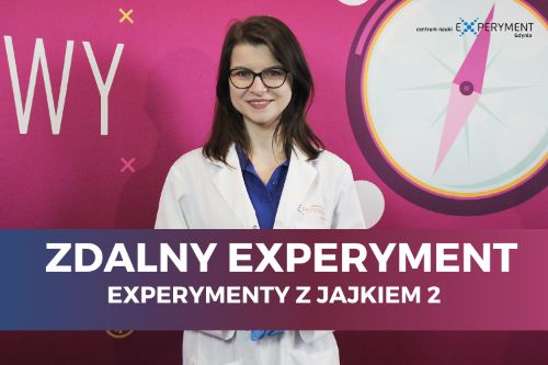 Zdalny experyment, experymenty z jajkiem 2. kadr z filmu przedstawia uśmiechniętą edukatorkę.