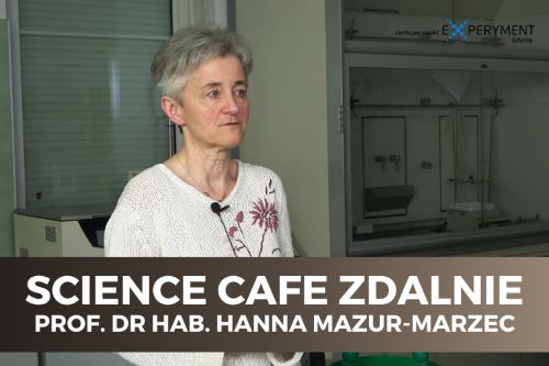 Science cafe zdalnie. Prof. dr hab. Hanna Mazur-Marzec stoi w laboratorium. Za nią znajdują się sprzęty laboratoryjne. Ma krótko obcięte siwe włosy i sweter z wyszywanymi kwiatami.