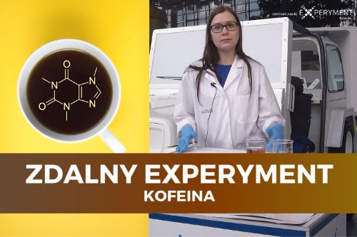 Zdalny experyment, kofeina. Obok edukatorki umieszczono grafikę. Biała filiżanka na żółtym tle widziana od góry, wewnątrz filiżanki czarna kawa i chemiczny wzór kofeiny.