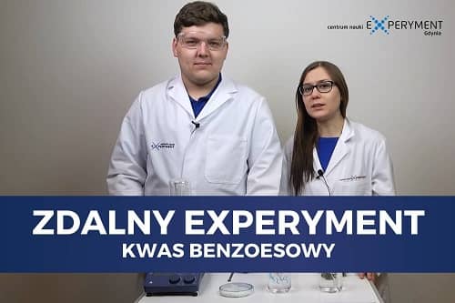 Zdalny experyment, kwas benzoesowy. W kadrze edukatorzy prowadzący wykład.