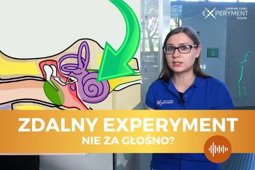 Zdalny experyment, nie za głośno? Obok edukatorki umieszczona została grafika przedstawiająca przekrój wnętrza ucha.