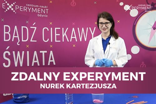 Zdalny experyment, nurek kartezjusza. Edukatorka stoi przy blacie z przedmiotami do wykonywania doświadczeń.