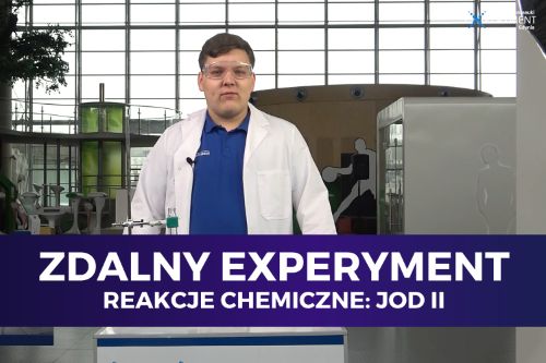 Zdalny experyment, reakcje chemiczne jod II. Edukator przeprowadzający doświadczenie stoi przed stolikiem ze sprzętem chemicznym.