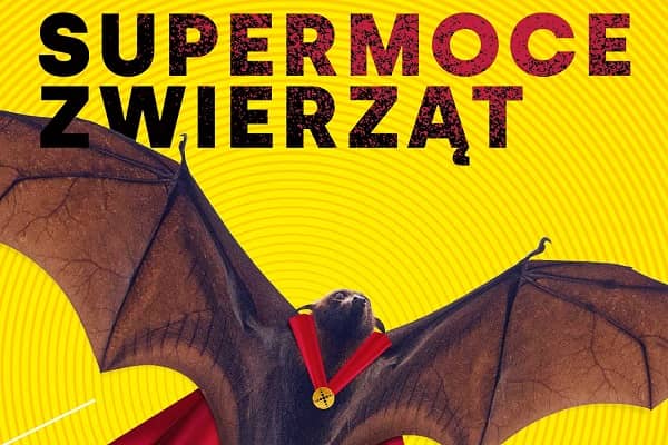 Researchers’ Night 2020 <br>ANIMAL SUPERPOWERS Grafika przedstawiająca nietoperza w czerwonej pelerynie na żółtym tle i napis Noc Naukowców Supermoce Zwierząt