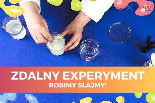 Zdalny experyment, robimy slajmy. Na niebieskim tle widać trzy zlewki, szalkę Petriego oraz dłonie edukatora.