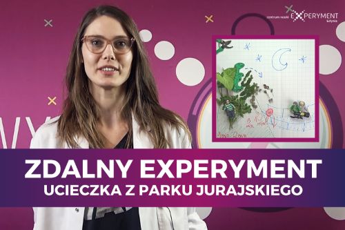 Zdalny experyment, ucieczka z parku jurajskiego. Obok edukatorki kadr z filmu. Na nim lalki i dinozaur wśród roślinności.