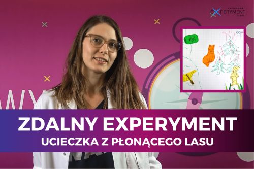Zdalny experyment, ucieczka z płonącego lasu. W kadrze edukatorka prowadząca wyklad.