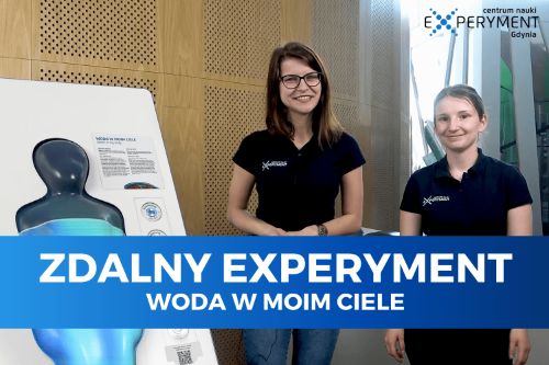 Zdalny experyment, woda w moim ciele. Dwie edukatorki stoją przy eksponacie prezentującym poziom wody w organizmie człowieka.