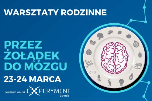 www_przez żołądek do mózgu kafel