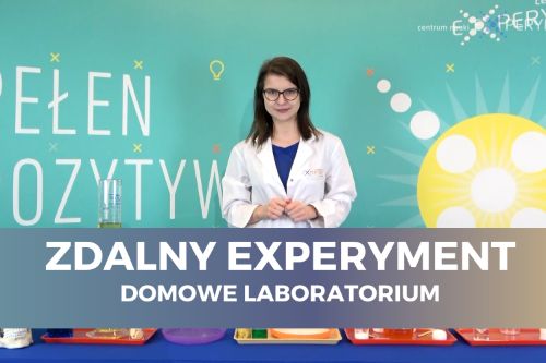 Zdalny experyment, domowe laboratorium. Edukatorka stoi przed blatem ze sprzętem do doświadczeń.