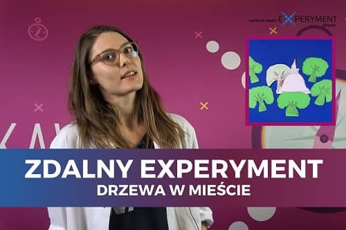 Miniaturka do filmu z cyklu ZDALNY EXPERYMENT pod tytułem Drzewa w mieście. Na zdjęciu kobieta w okularach i fartuchu ochronnym, na fioletowym tle.