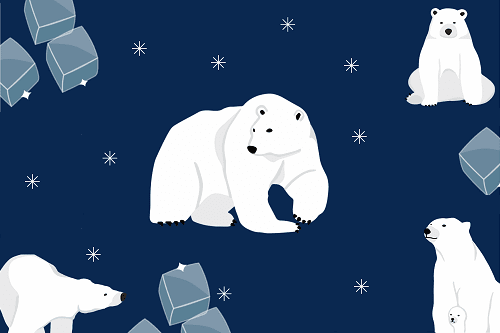 Obrazek przedstawiający niedźwiedzia polarnego na granatowym tle.