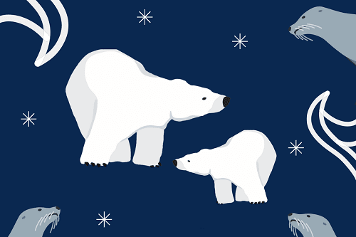 Obrazek przedstawiający dwie niedźwiedzie polarne na granatowym tle.