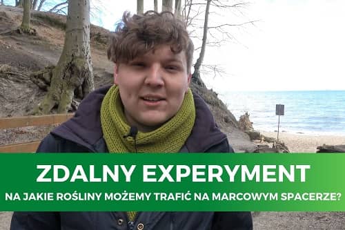 Miniaturka do filmu z cyklu ZDALNY EXPERYMENT pod tytułem Na jakie rośliny możemy trafić na marcowym spacerze? Na zdjęciu mężczyzna w szaliku na tle morza.