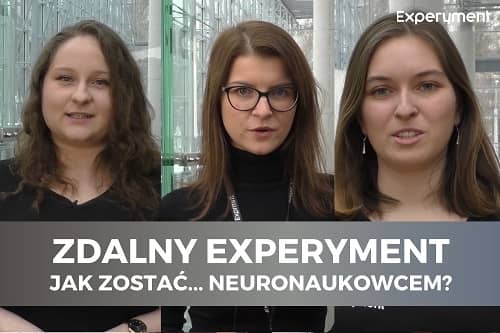 Miniaturka do filmu z cyklu ZDALNY EXPERYMENT pod tytułem Jak zostać... neuronaukowcem?. Na zdjęciu widoczna trzy kobiety.