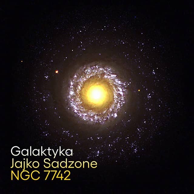 Grafika do tekstu Galaktyka Jajko Sadzone.