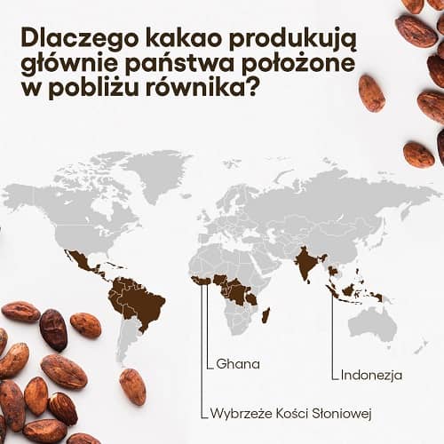 Grafika do tekstu Gdzie uprawia się kakao.