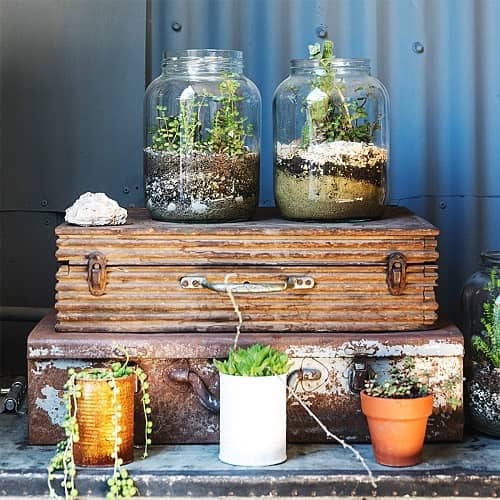 Jak zrobić las w słoiku?