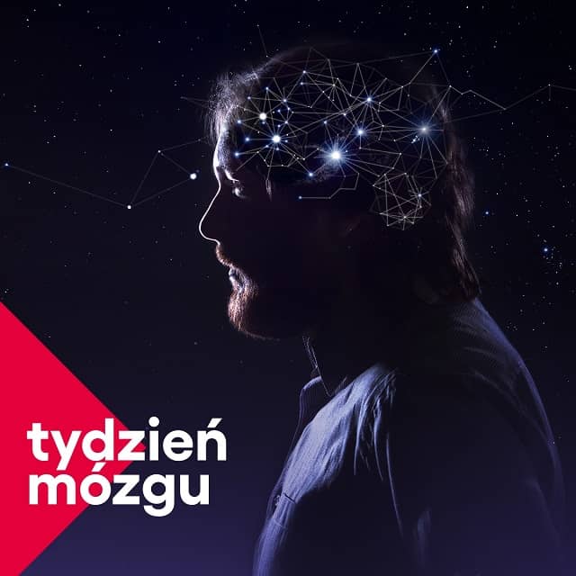 Grafika poglądowa do tekstu