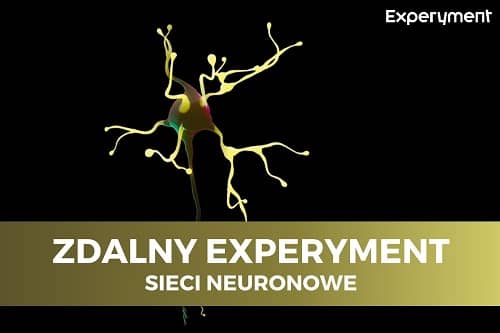 Miniaturka do filmu z cyklu ZDALNY EXPERYMENT pod tytułem Sieci neuronowe. Na zdjęciu neuron.