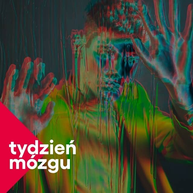 Grafika poglądowa do tekstu