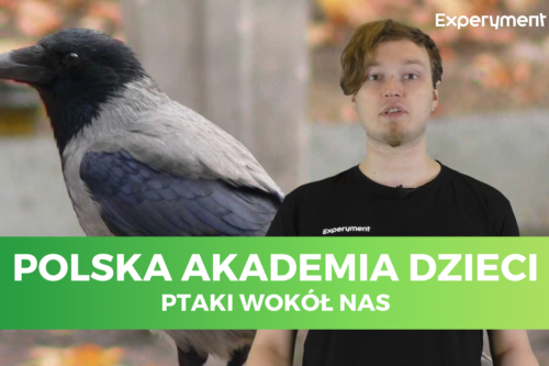 Miniaturka do filmu z cyklu Polska Akademia Dzieci, przedstawiająca mężczyznę, a w tle zdjęcie wrony.