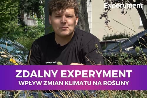 Miniaturka do filmu z cyklu ZDALNY EXPERYMENT pod tytułem Wpływ zmian klimatu na rośliny. Na zdjęciu mężczyzna siedzący w wysokiej trawie.