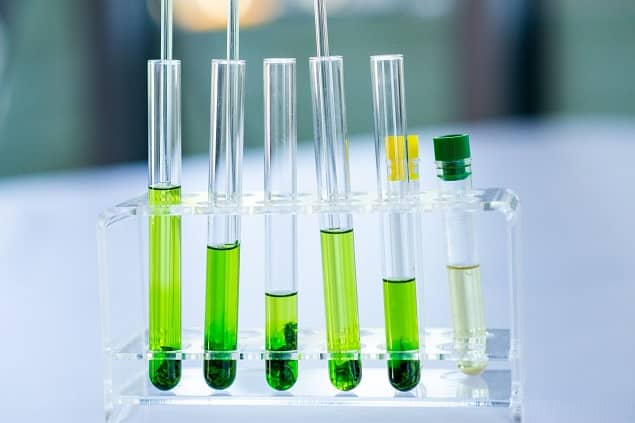 Zdjęcie sześciu probówek z zielonym płynem.
