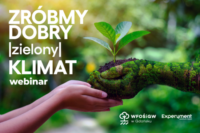 Ręce pokryte mchem podają zieloną roślinę normalnym dłoniom .