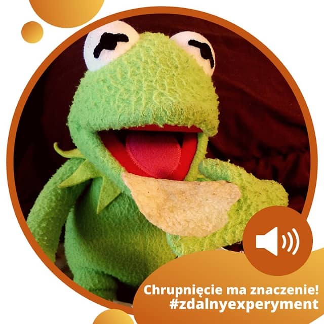 Na zdjęciu widzimy żabę, dyrektora rewii Muppetów, Kermita jedzącego chipsa. W prawym dolnym dolnym rogu napis "Chrupnięcie ma znaczenie! #zdalnyexperyment"