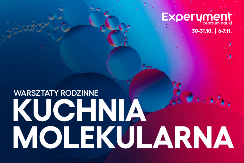 WARSZTATY RODZINNE. Kuchnia molekularna Grafika Warsztatów Rodzinnych pt. Kuchnia molekularna