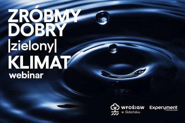 Grafika do webinaru pt. Jak gospodarować wodą w miastach?