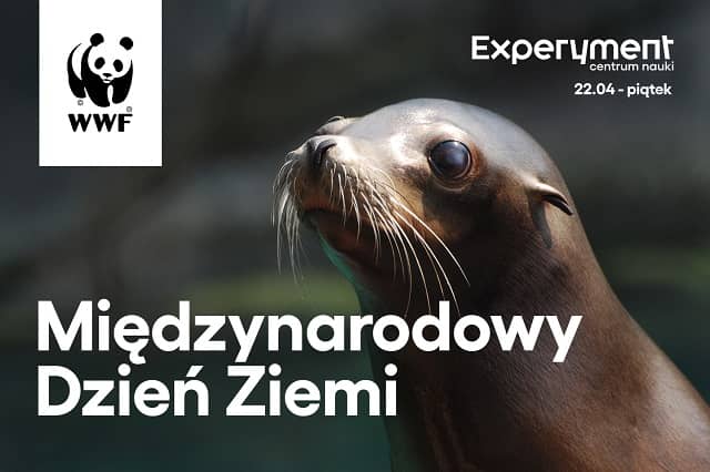 Grafika Międzynarodowego Dnia Ziemi