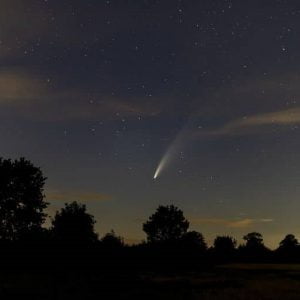 Na zdjęciu znajduje się rozgwieżdżone niebo rozciągające się nad lasem, po środku widać lecącą kometę.