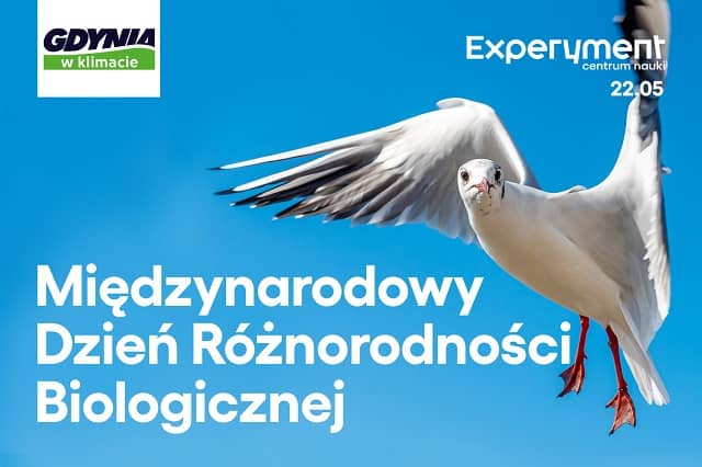 Grafika na Międzynarodowy Dzień Różnorodności Klimatycznej