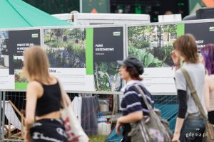 Gdynia w klimacie na Open'er Festival