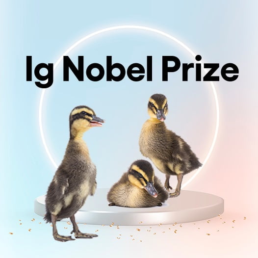 Grafika przedstawiająca trzy kaczątka, a na górze napis Ig Nobel Prize.