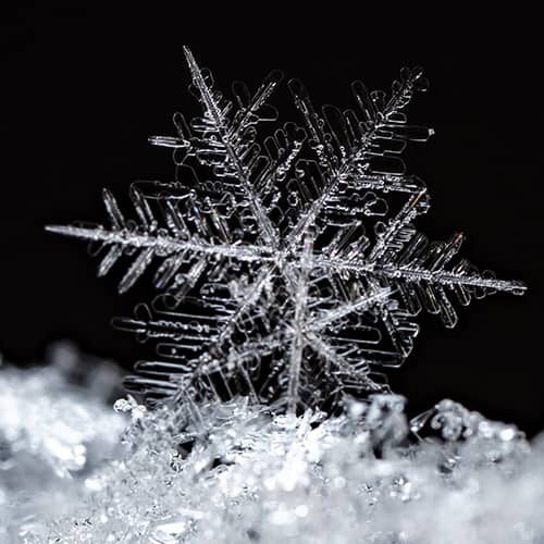 Płatek śniegu z bardzo bliskiej odległości.