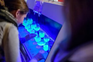 Na zdjęciu przedstawiono kobietę, biorącą udział w walentynkowym wydarzeniu CN Experyment. Kobieta przygląda się kieliszkom do wina, podświetlonym światłem UV.