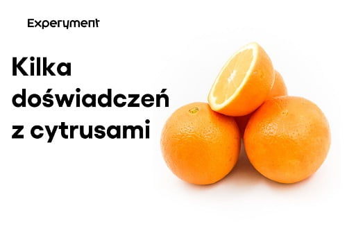 Grafika przedstawiająca odcinek z serii "ZDALNY EXPERYMENT" pt. "Doświadczenia z cytrusami".