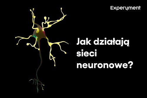 Miniaturka do filmu z cyklu ZDALNY EXPERYMENT pod tytułem Sieci neuronowe. Na zdjęciu neuron.